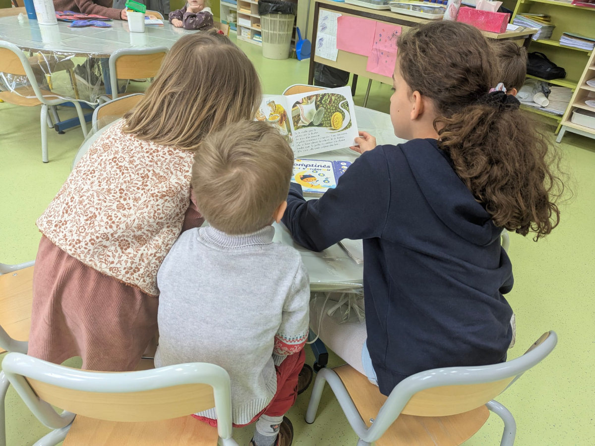 Taux de réussite au Brevet